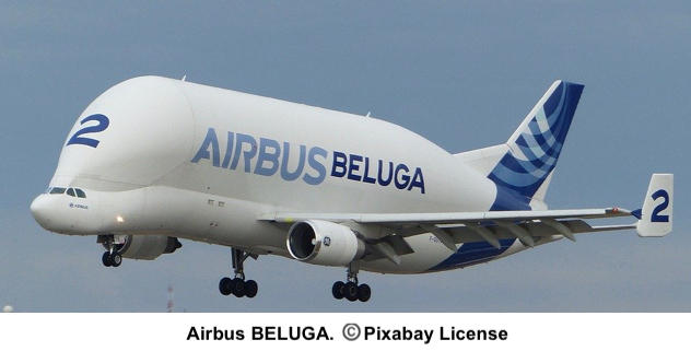 P20200829 Beluga avion.jpg