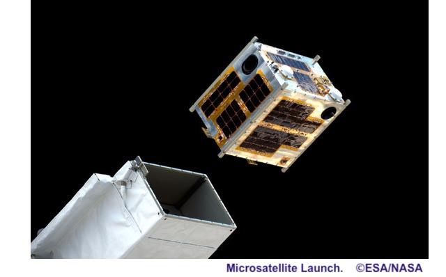 P190811 Microsatellite.jpg